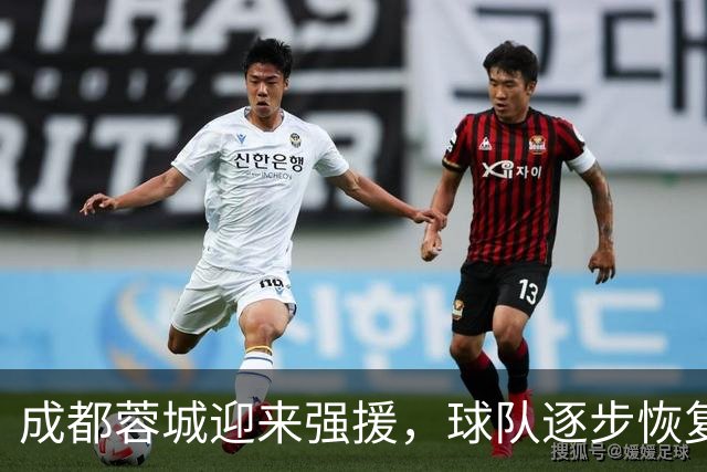 成都蓉城迎来强援，球队逐步恢复竞争力